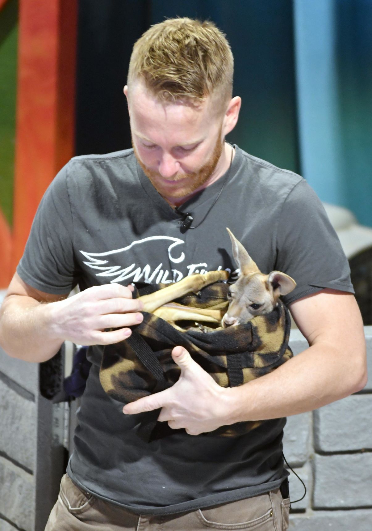 Exotic animals at the Children's Museum 3